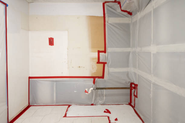 Best Attic Mold Removal  in La Verkin, UT