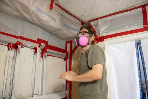 Best Mold Remediation for Healthcare Facilities  in La Verkin, UT