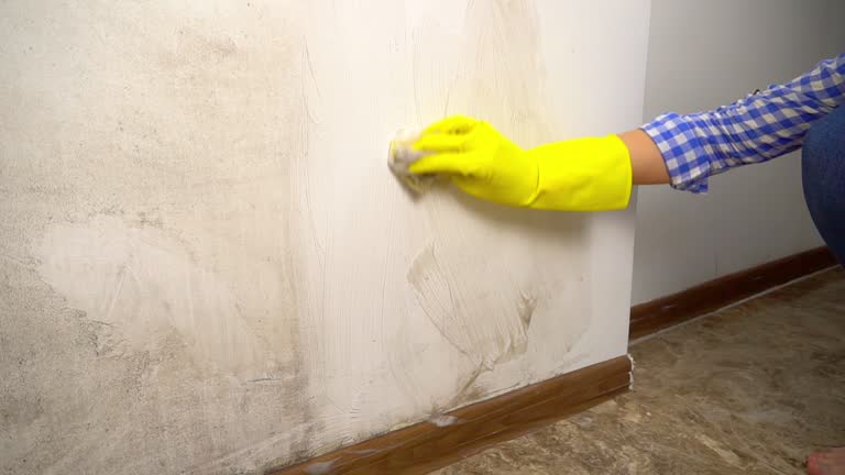 Best Mold Remediation for Healthcare Facilities  in La Verkin, UT