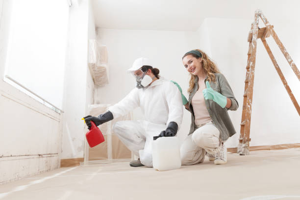 Mold Odor Removal Services